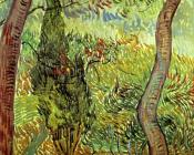 文森特 威廉 梵高 : 医院花园中的树